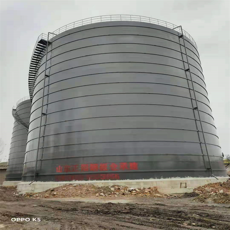 正阳3万吨大型钢板库